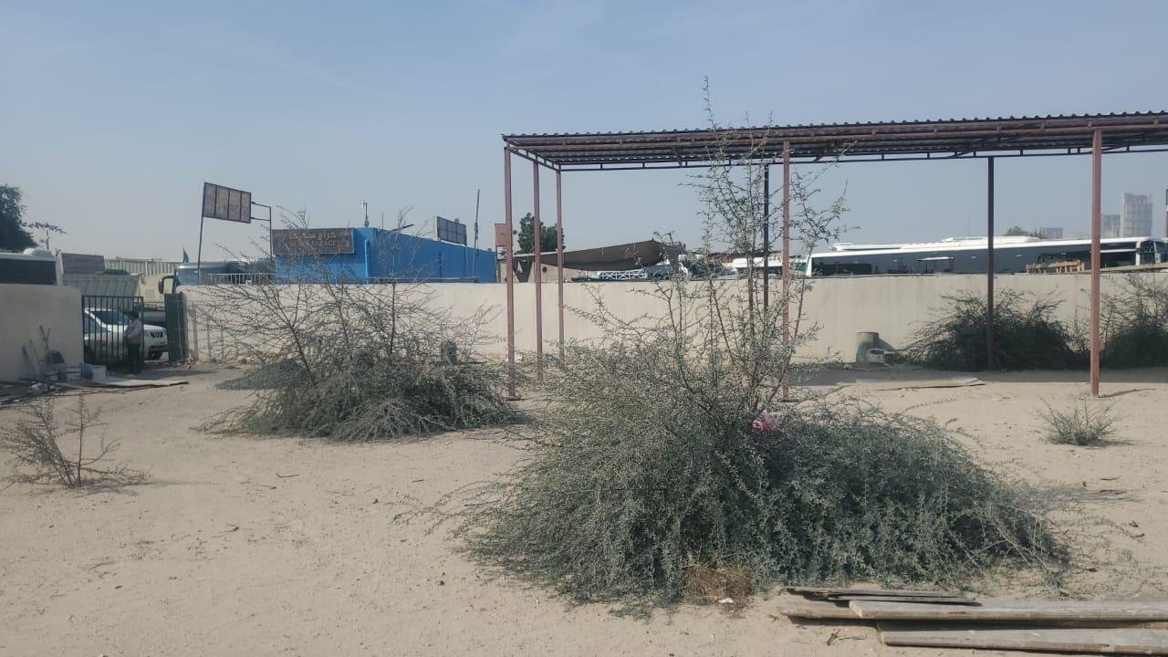 10,000 Sq. FT Commercial Warehouse for rent in Ras Al Khor